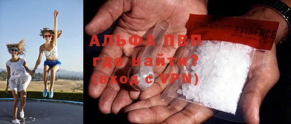индика Беломорск