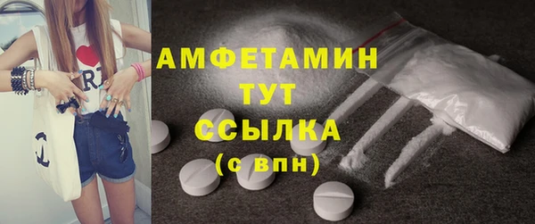 индика Беломорск