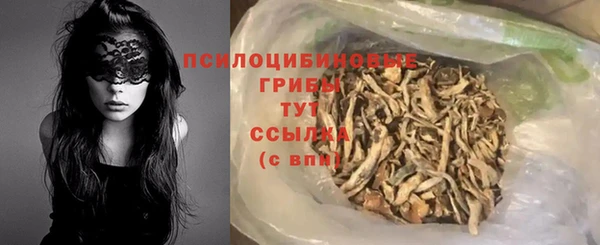 apvp Саяногорск