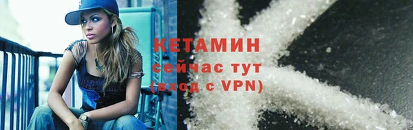 индика Беломорск