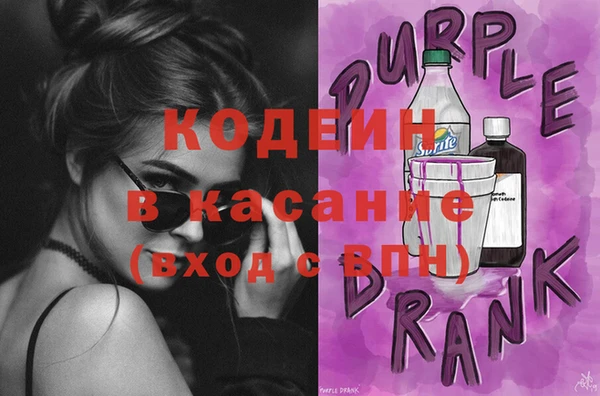 индика Беломорск