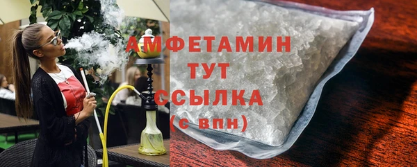 индика Беломорск
