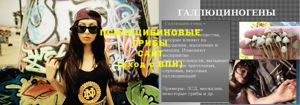 индика Беломорск
