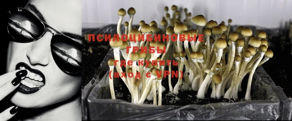 2c-b Балабаново
