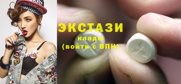 индика Беломорск
