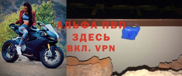 индика Беломорск