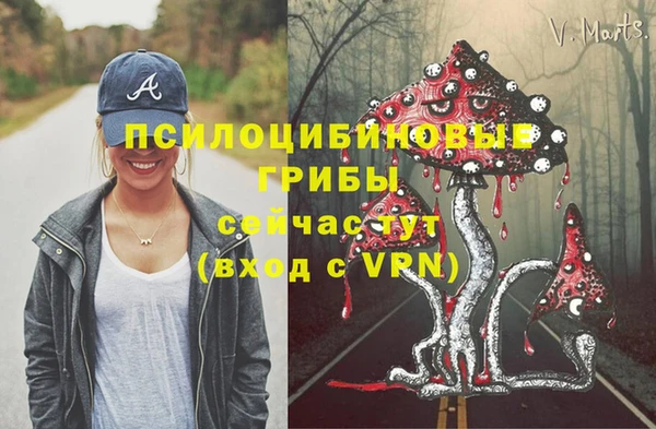 твердый Белоозёрский