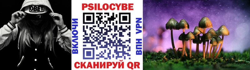 Галлюциногенные грибы Psilocybe Саяногорск