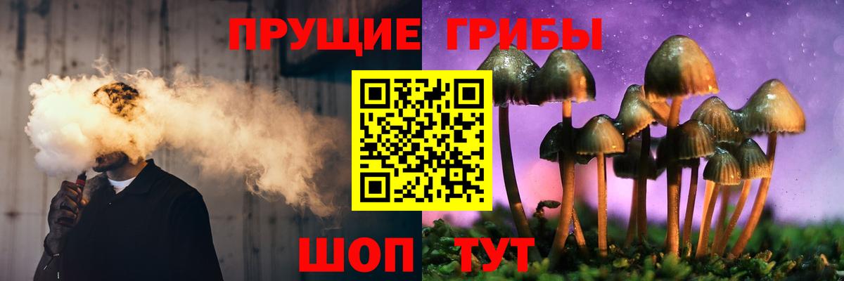 Саяногорск  Псилоцибиновые грибы ЛСД  Вход с VPN 